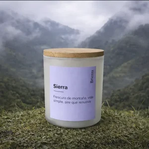 Vela artesanal para regalar, detalles para regalar Sierra - Briezza