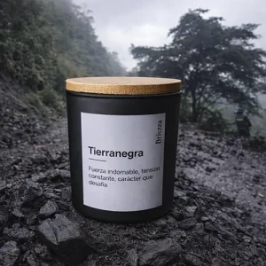Vela decorativa para regalar, detalles para regalar Tierranegra - Briezza